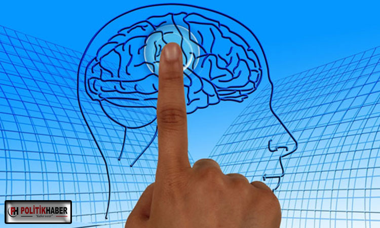 İnsan beyni kopyalanıyor! İnsan beyni kopyalanıyor!