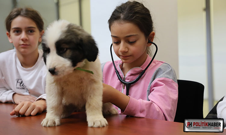Minik veterinerler görev başında! Minik veterinerler görev başında!